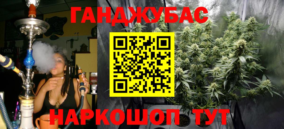 Конопля OG Kush Кисловодск